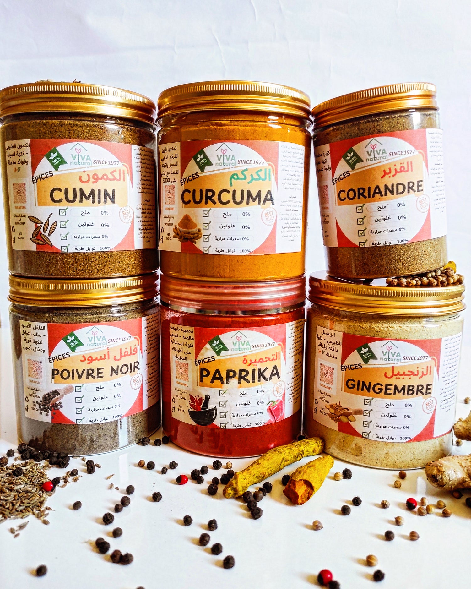 Pack Géant Viva Naturel : 6 Épices (250g) + 8 Mélanges